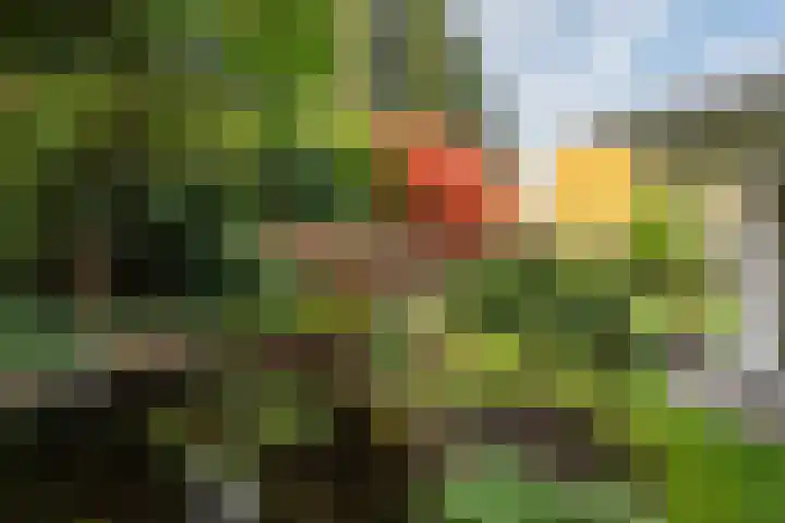 Kapteijnlaan 38 Veldhoven thumbnail 46