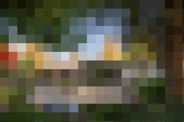 Kapteijnlaan 38 Veldhoven thumbnail 47