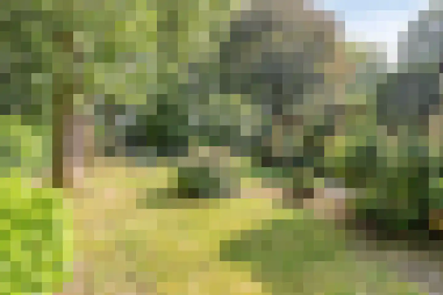 Kapteijnlaan 6 Veldhoven thumbnail 23