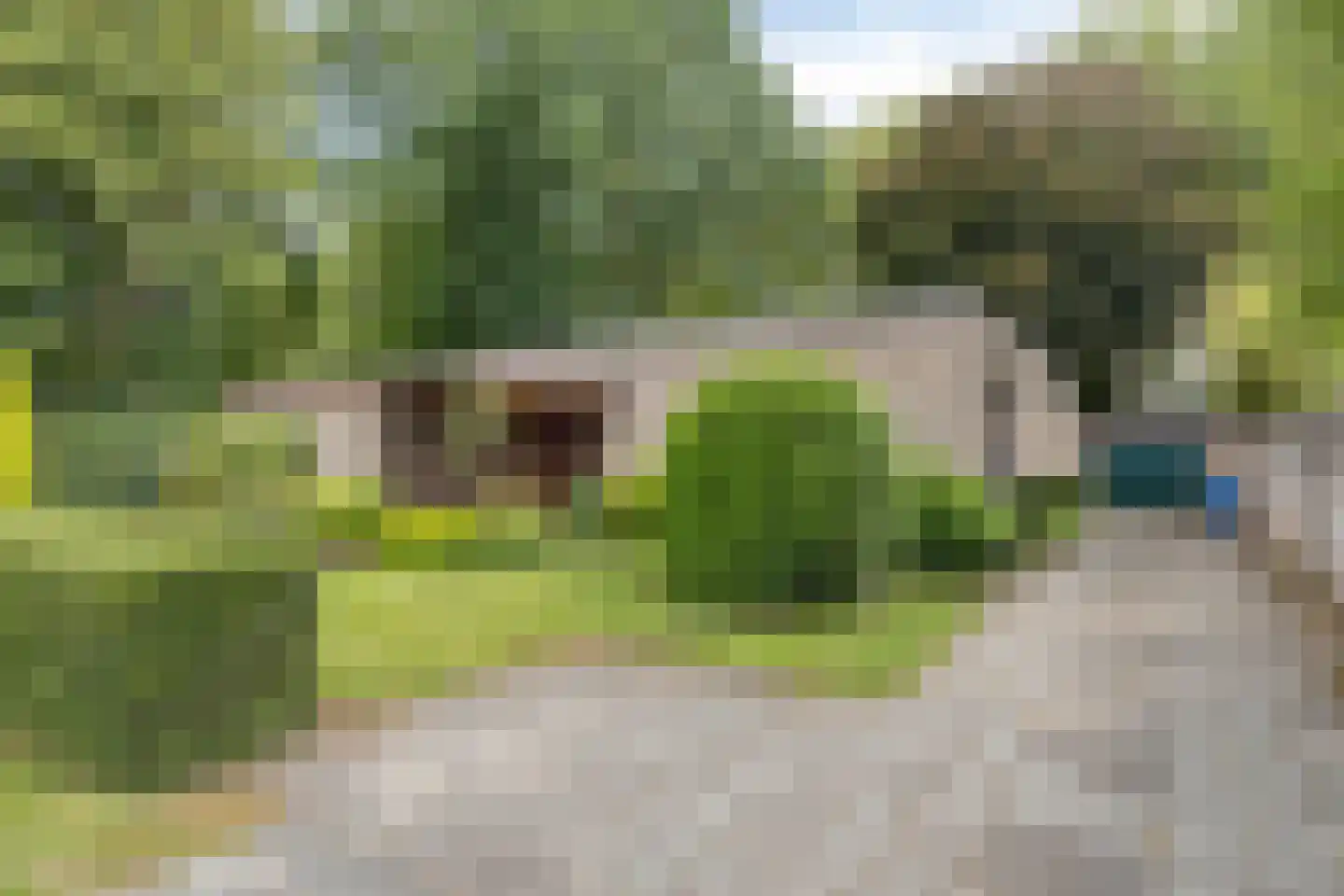 Kapteijnlaan 6 Veldhoven thumbnail 28