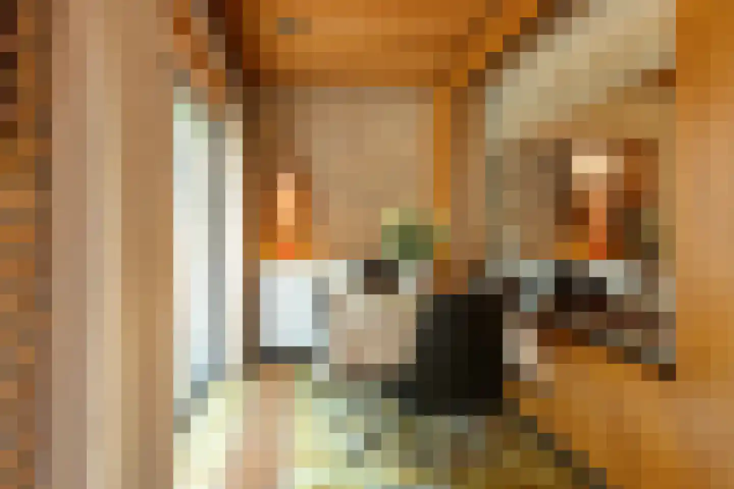 Kapteijnlaan 6 Veldhoven thumbnail 9