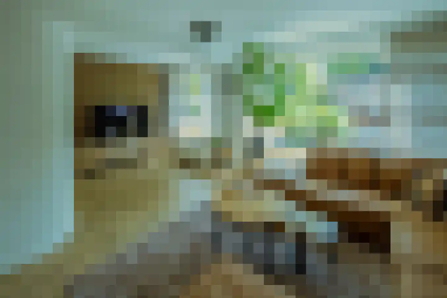 Kapteijnlaan 71 Veldhoven thumbnail 9