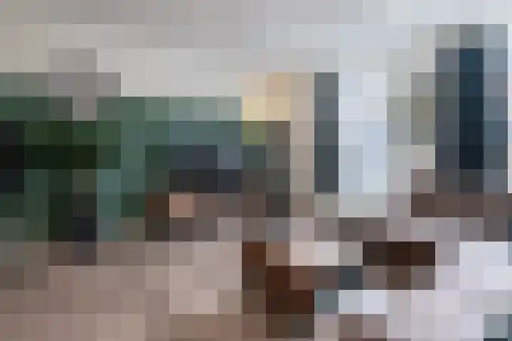Kapteijnstraat 5 Barneveld thumbnail 9