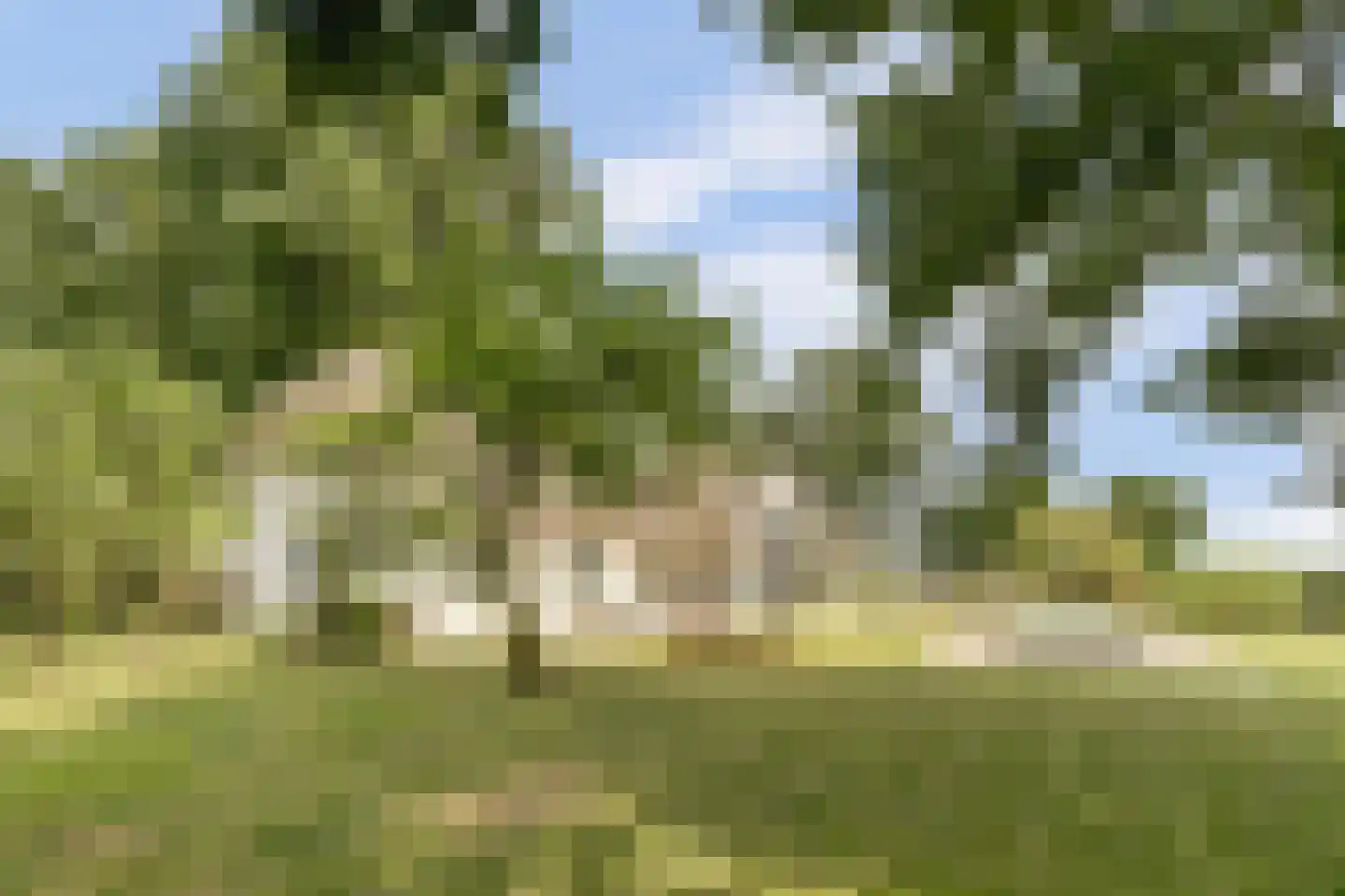Kapteinsweg 1 Dreischor thumbnail 10