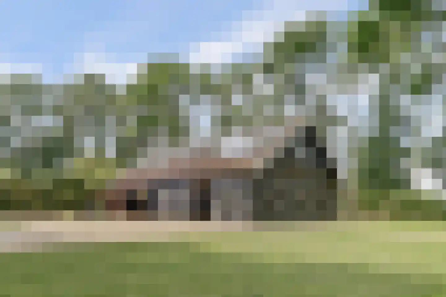 Kapteinsweg 1 Dreischor thumbnail 11