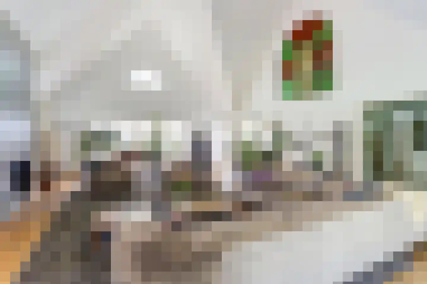 Kapteinsweg 1 Dreischor thumbnail 16