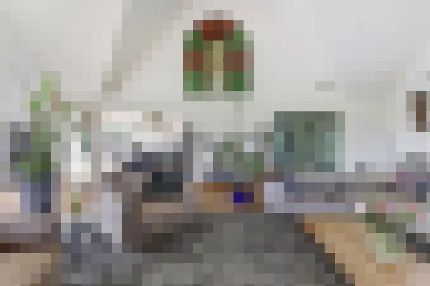 Kapteinsweg 1 Dreischor thumbnail 19