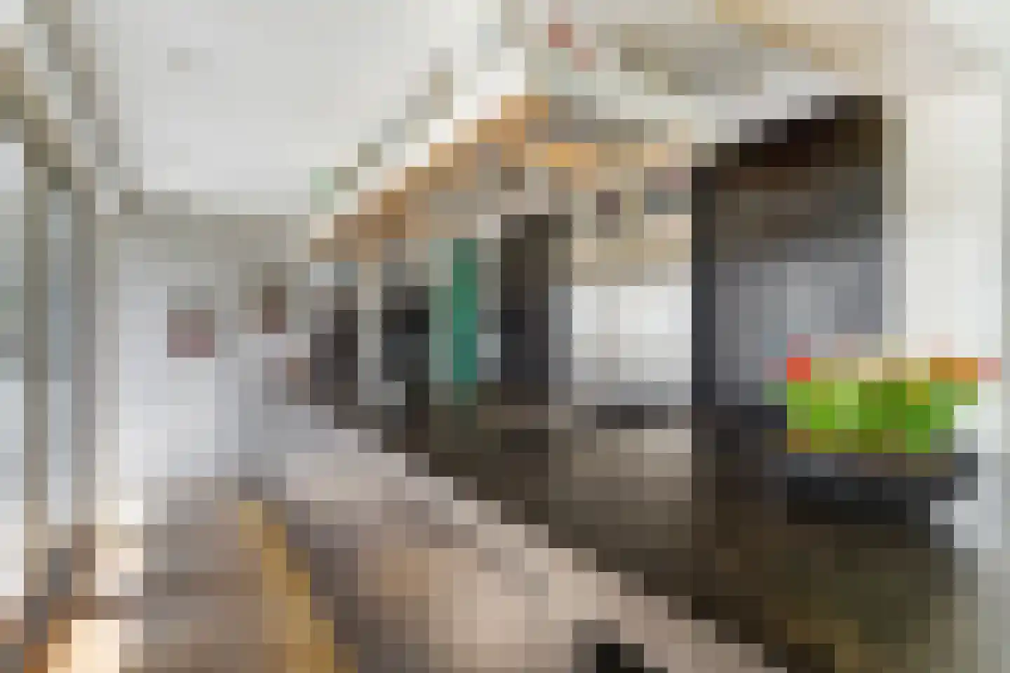 Kapteinsweg 1 Dreischor thumbnail 23