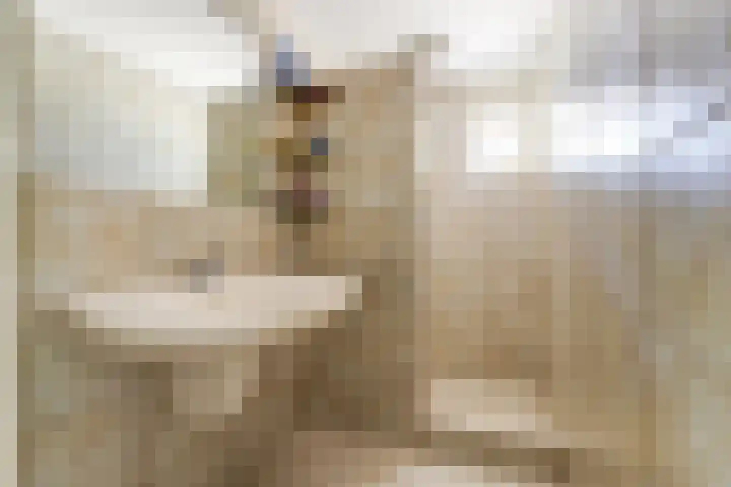 Kapteinsweg 1 Dreischor thumbnail 25