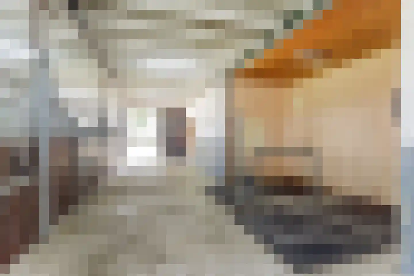 Kapteinsweg 1 Dreischor foto 3