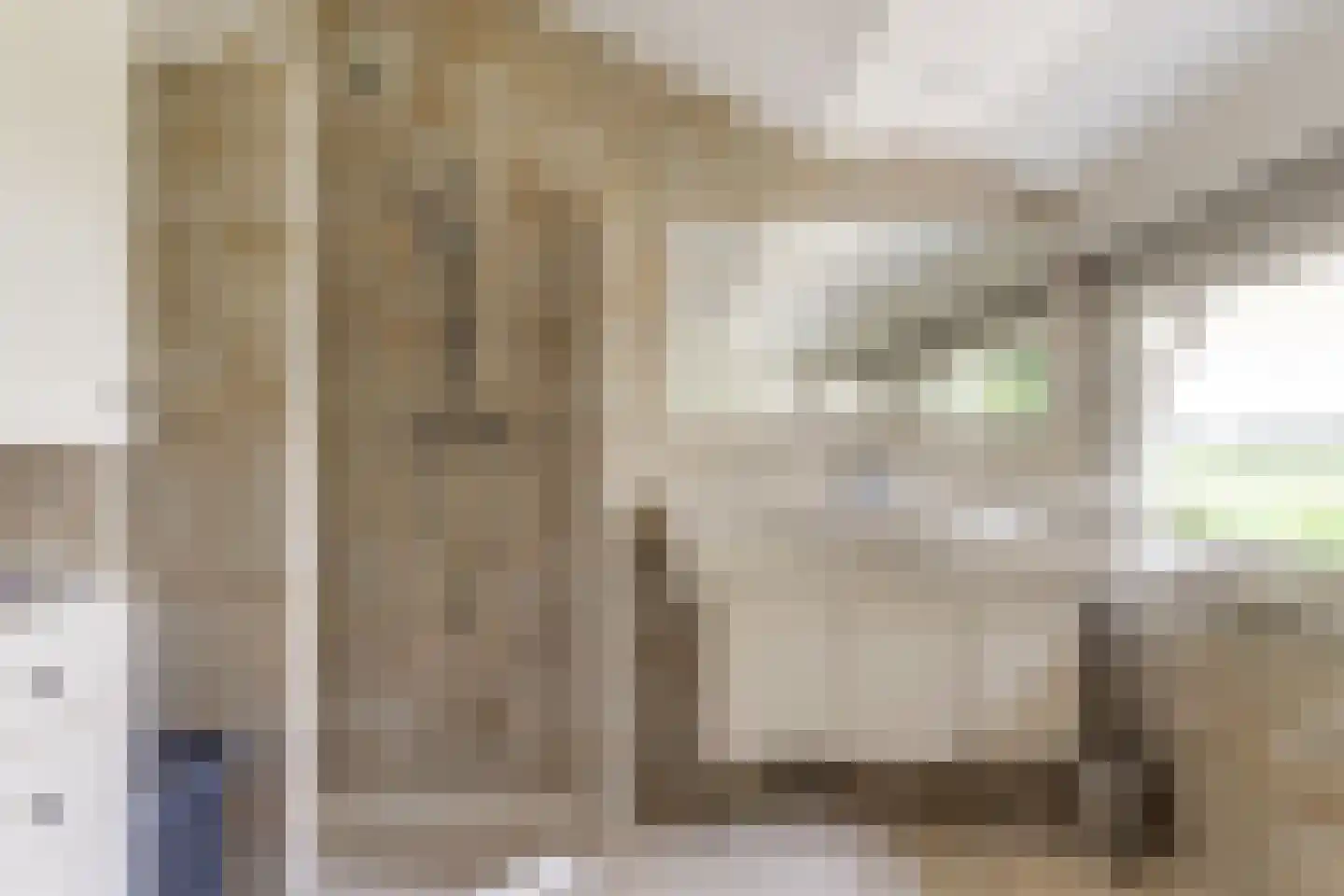 Kapteinsweg 1 Dreischor thumbnail 31