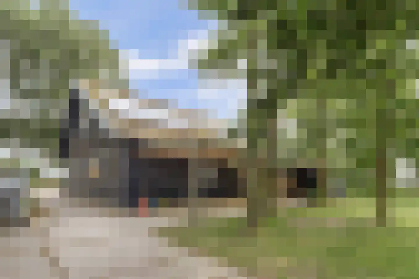 Kapteinsweg 1 Dreischor thumbnail 32