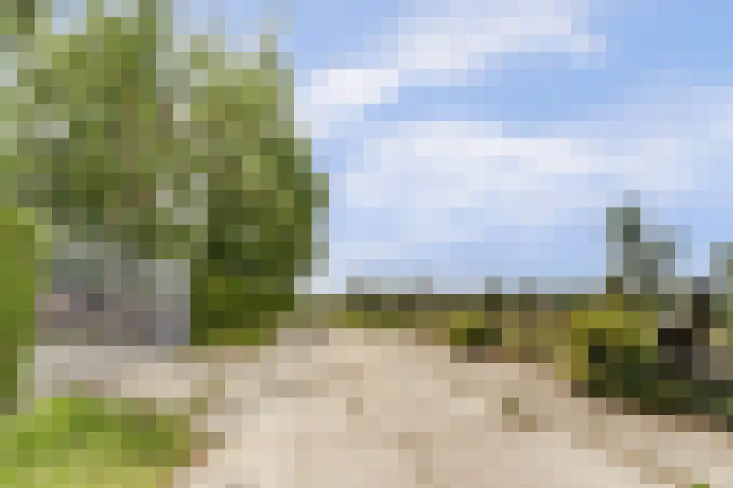 Kapteinsweg 1 Dreischor thumbnail 33