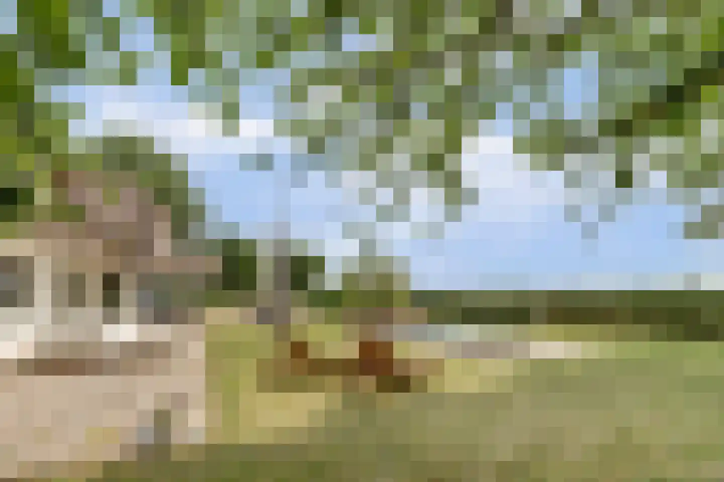 Kapteinsweg 1 Dreischor thumbnail 35