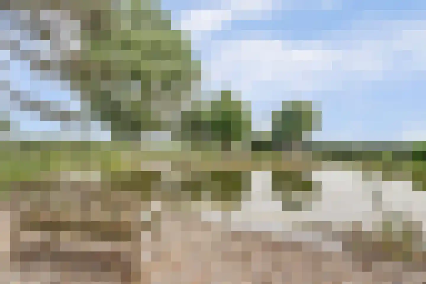 Kapteinsweg 1 Dreischor thumbnail 38