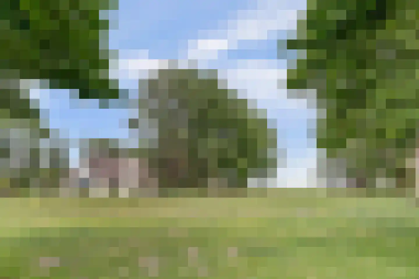 Kapteinsweg 1 Dreischor thumbnail 39