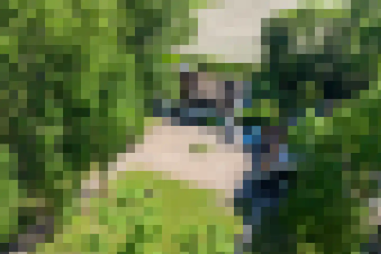 Kapteinsweg 1 Dreischor thumbnail 43