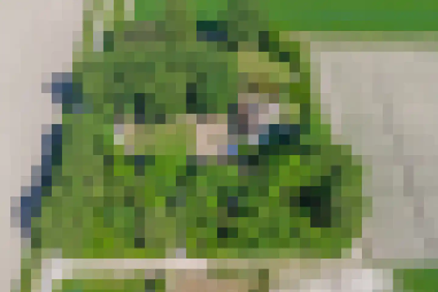 Kapteinsweg 1 Dreischor thumbnail 45