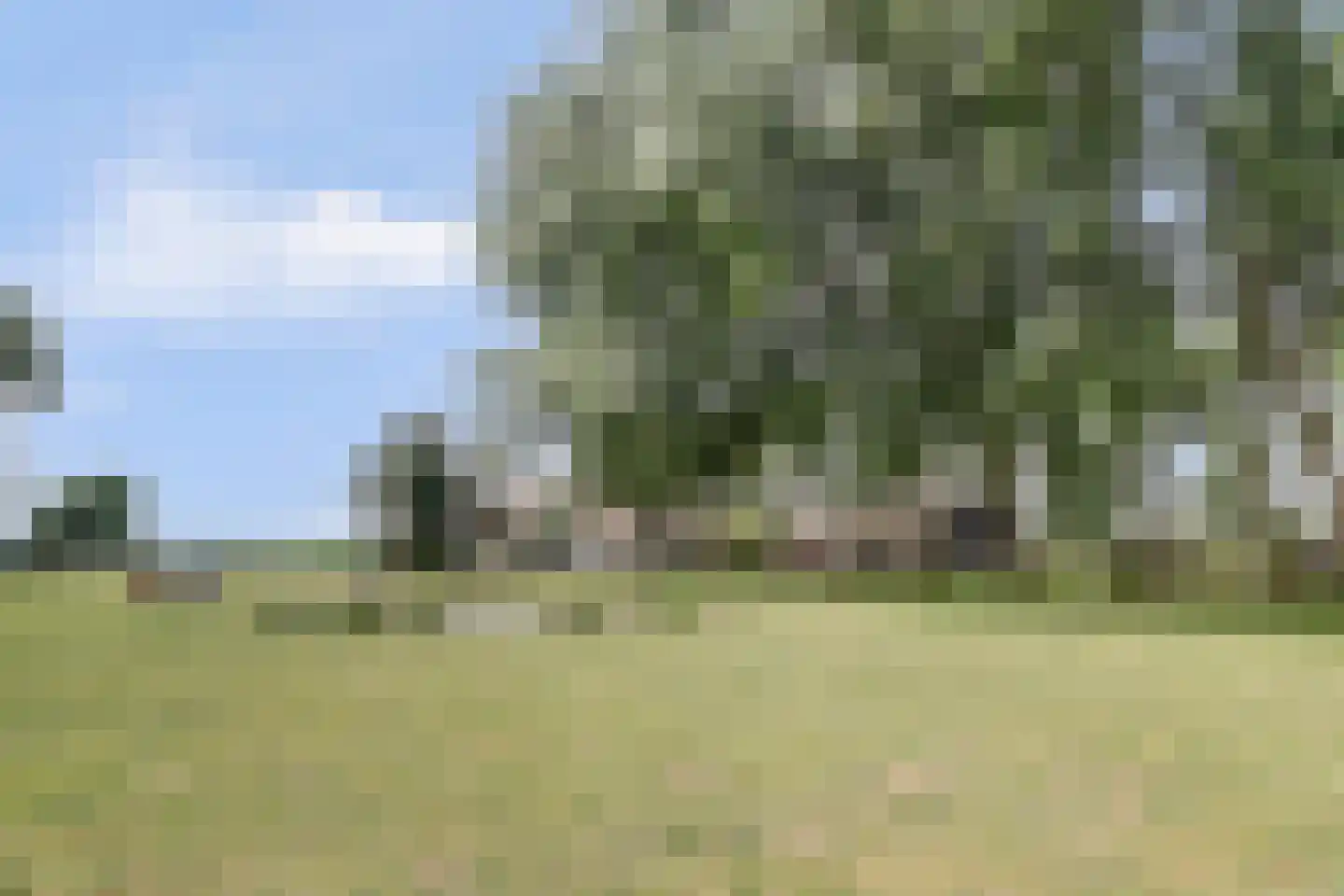 Kapteinsweg 1 Dreischor thumbnail 5
