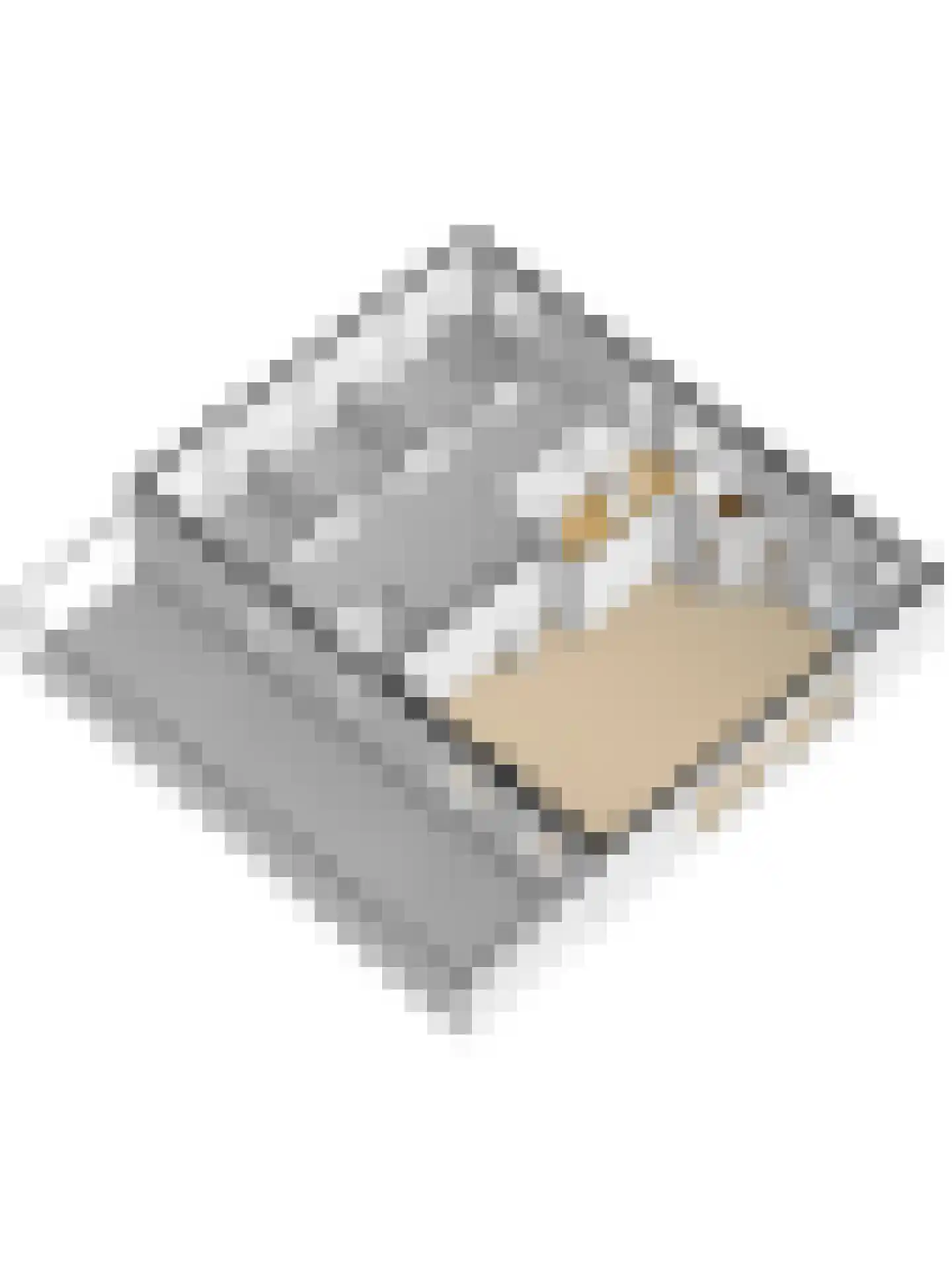Kapteinsweg 1 Dreischor thumbnail 51
