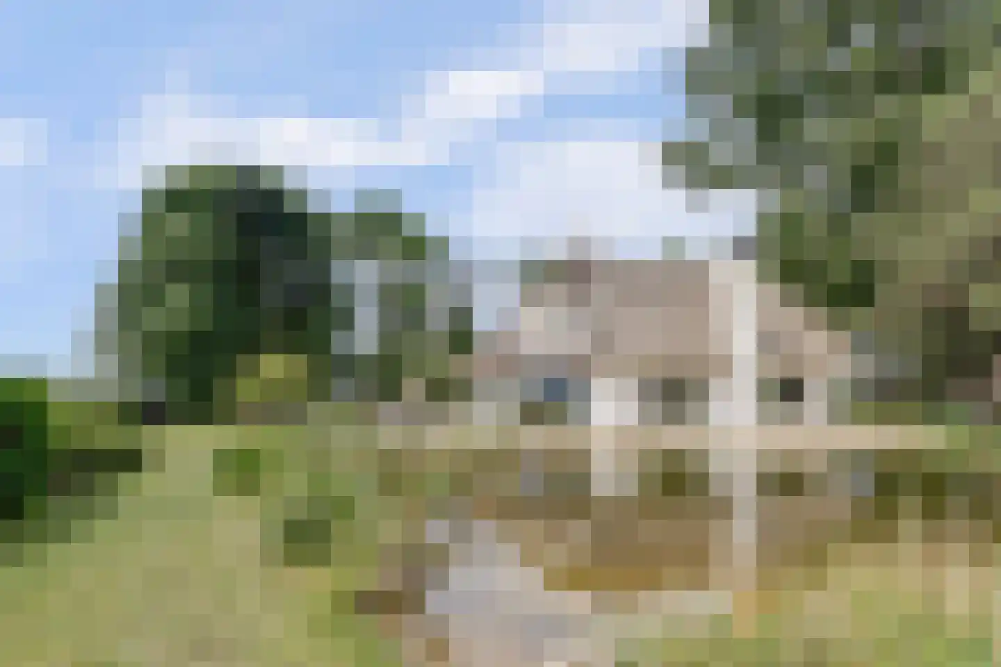 Kapteinsweg 1 Dreischor thumbnail 8
