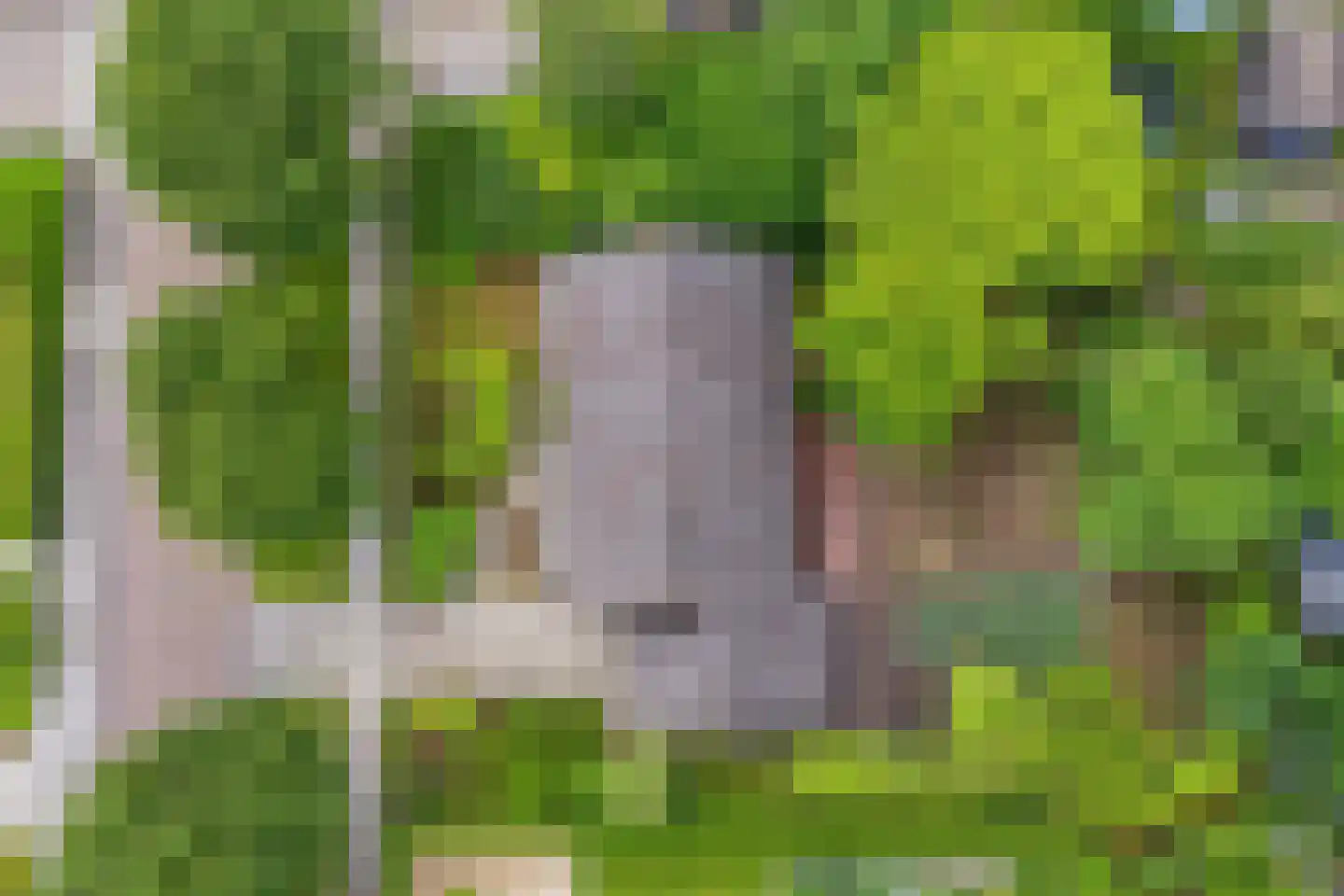 Kapteynlaan 10 Dronten thumbnail 36