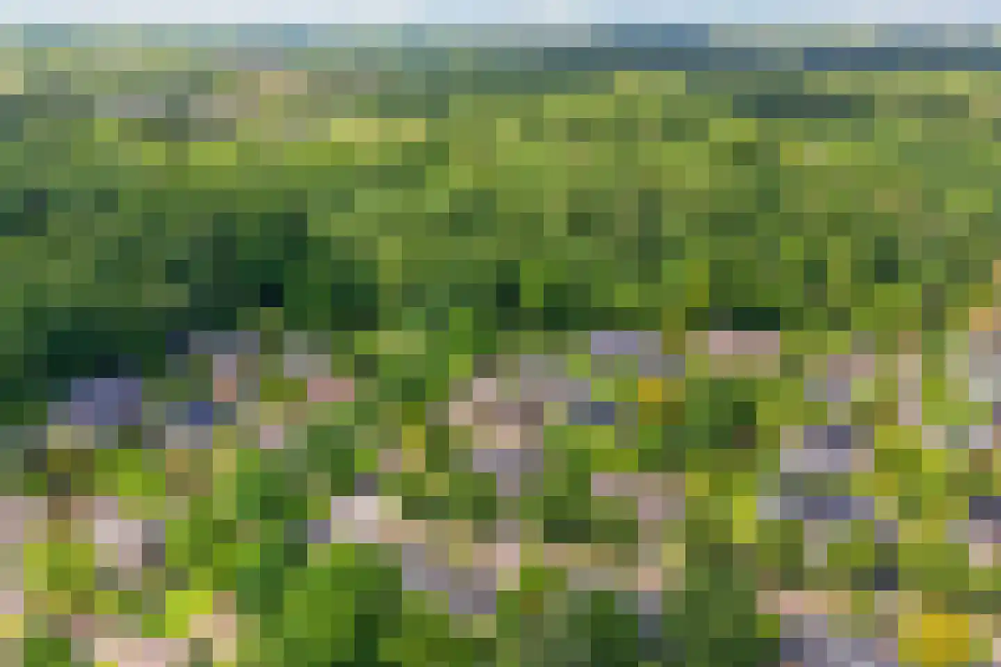Kapteynlaan 10 Dronten thumbnail 39