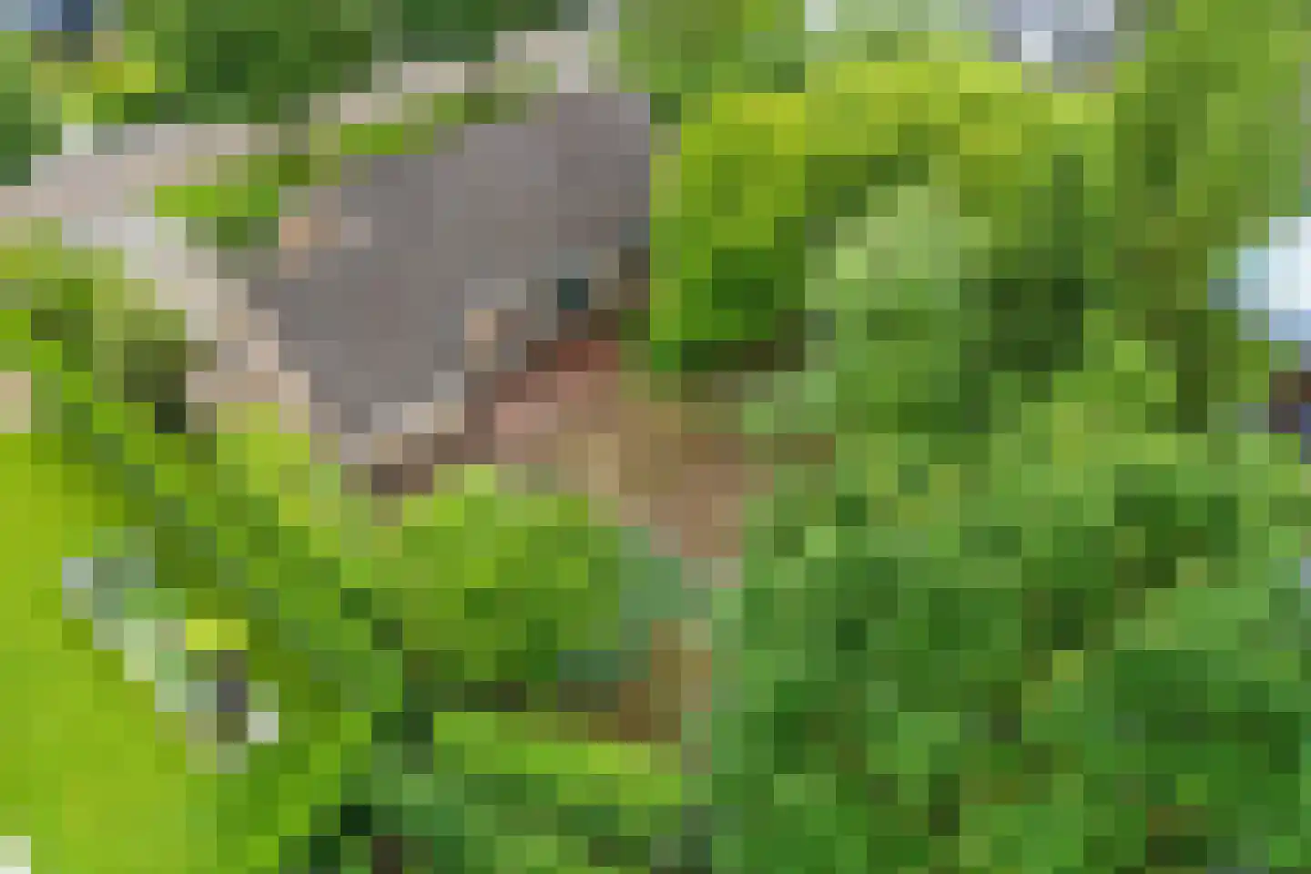 Kapteynlaan 10 Dronten thumbnail 4