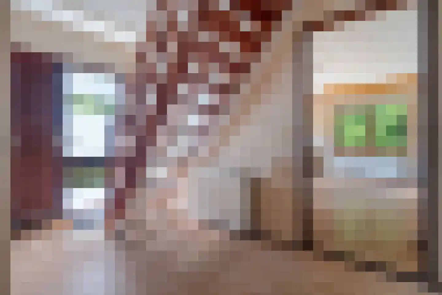 Kapteynlaan 10 Dronten thumbnail 7