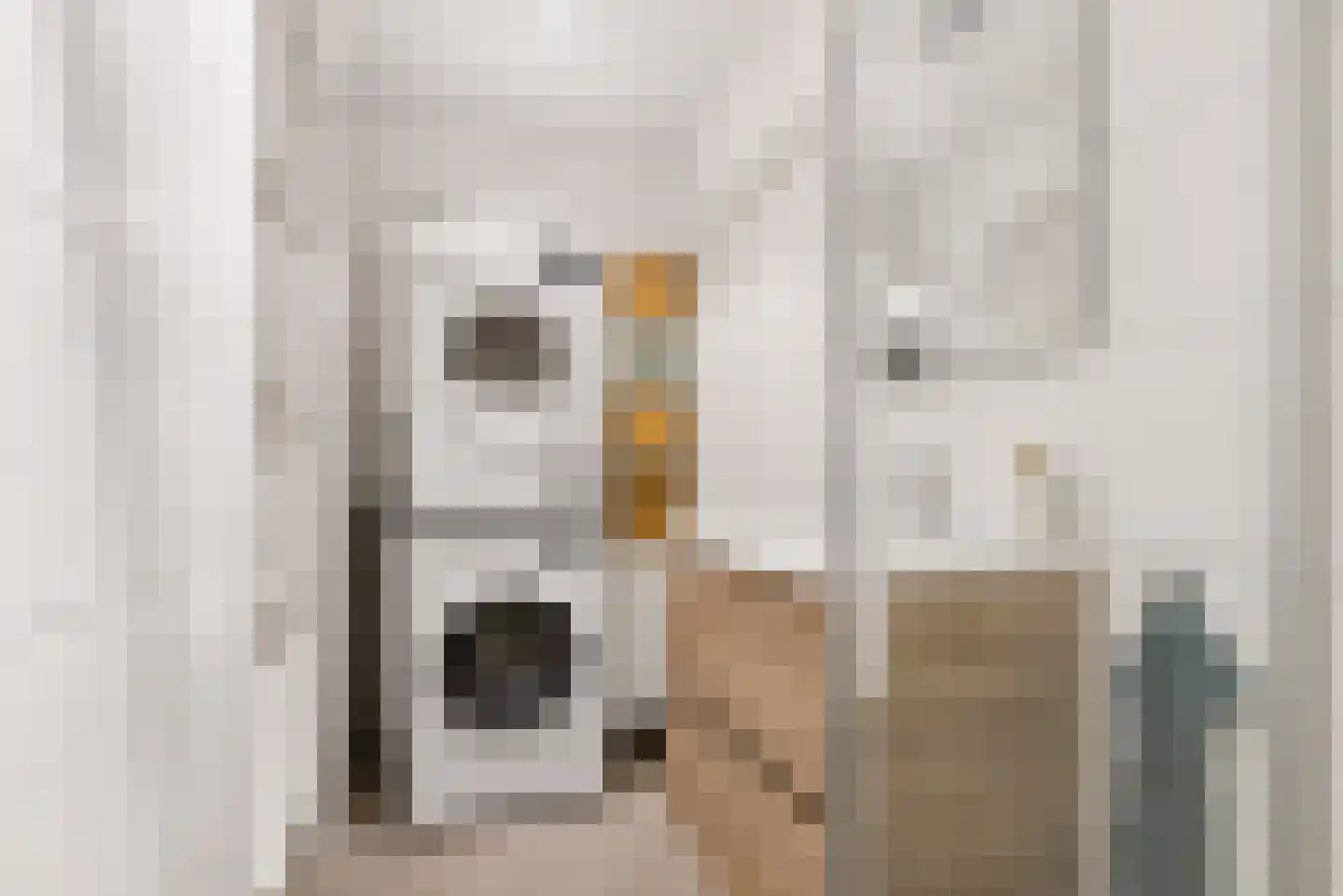 Kapteynlaan 145 Utrecht thumbnail 31