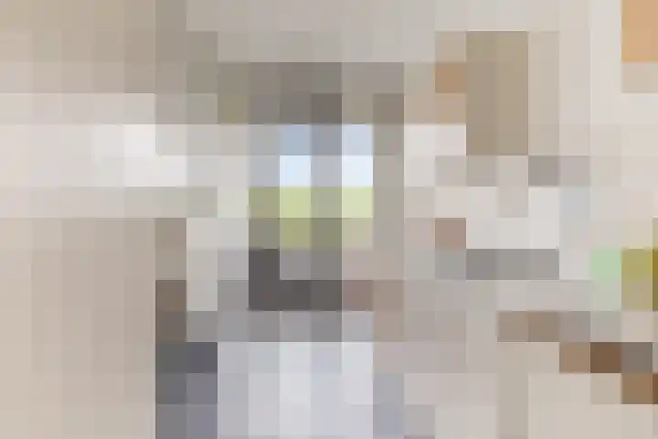 Kapteynlaan 163 Utrecht thumbnail 15