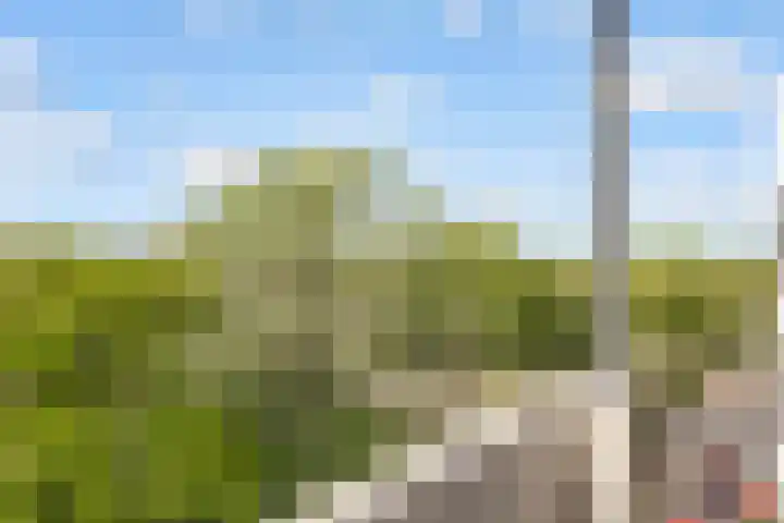 Kapteynlaan 163 Utrecht thumbnail 21