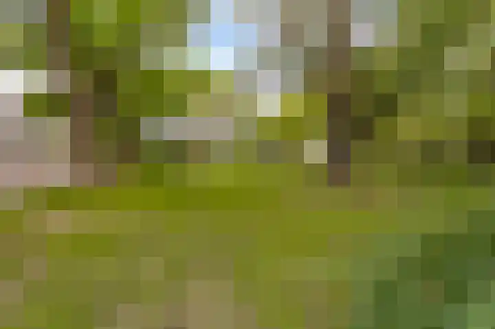 Kapteynlaan 163 Utrecht thumbnail 28