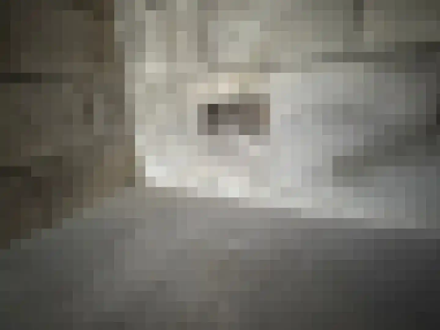 Kapteynlaan 171 Utrecht thumbnail 6