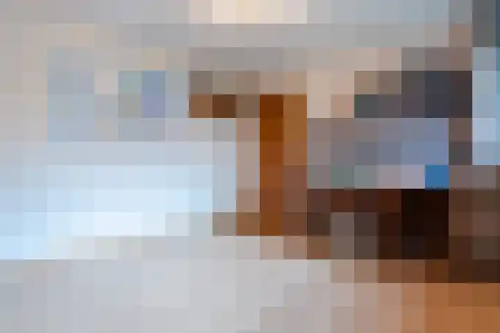 Kapteynlaan 23 Hoogeveen thumbnail 27