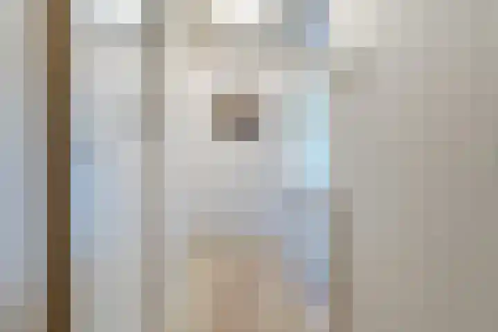 Kapteynlaan 23 Hoogeveen thumbnail 31
