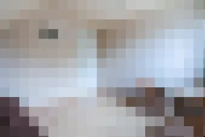 Kapteynlaan 23 Hoogeveen thumbnail 33