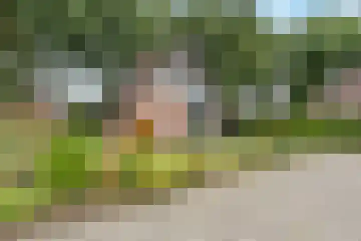 Kapteynlaan 23 Hoogeveen thumbnail 4