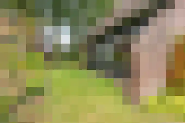Kapteynlaan 23 Hoogeveen thumbnail 50