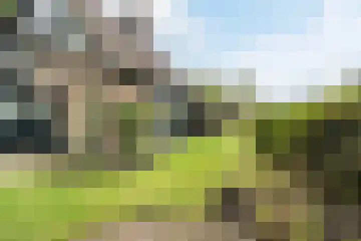 Kapteynlaan 23 Hoogeveen thumbnail 51
