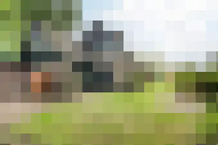 Kapteynlaan 23 Hoogeveen thumbnail 52