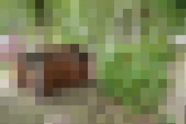 Kapteynlaan 23 Hoogeveen thumbnail 53