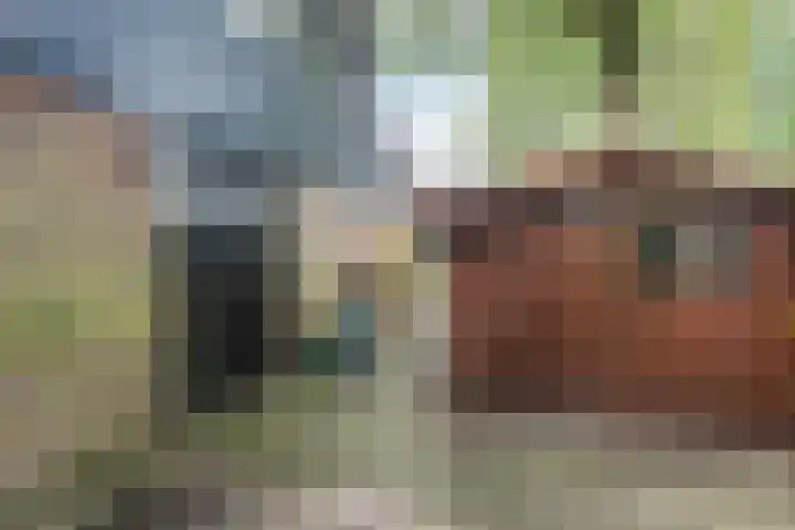 Kapteynlaan 23 Hoogeveen thumbnail 54