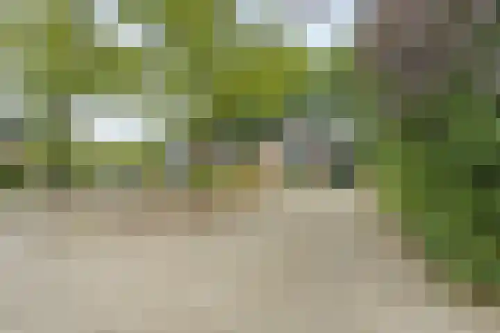 Kapteynlaan 23 Hoogeveen thumbnail 55