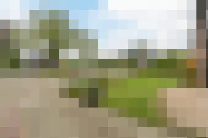 Kapteynlaan 23 Hoogeveen thumbnail 7