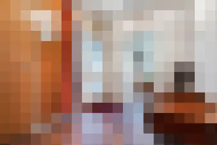 Kapteynlaan 23 Hoogeveen thumbnail 8