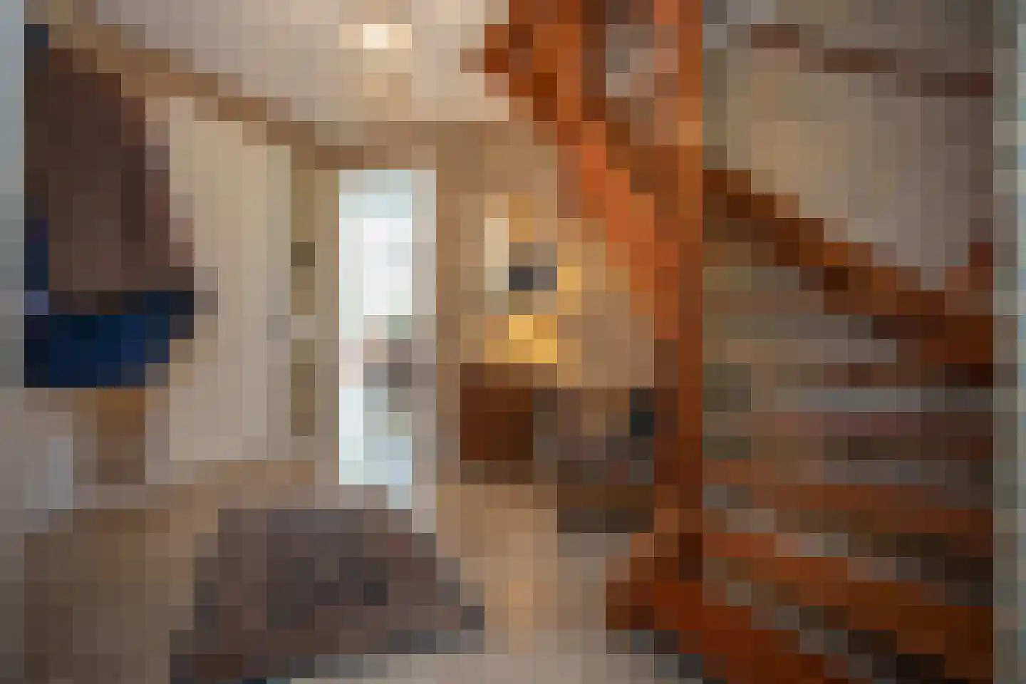Kapteynlaan 3 Almelo thumbnail 13