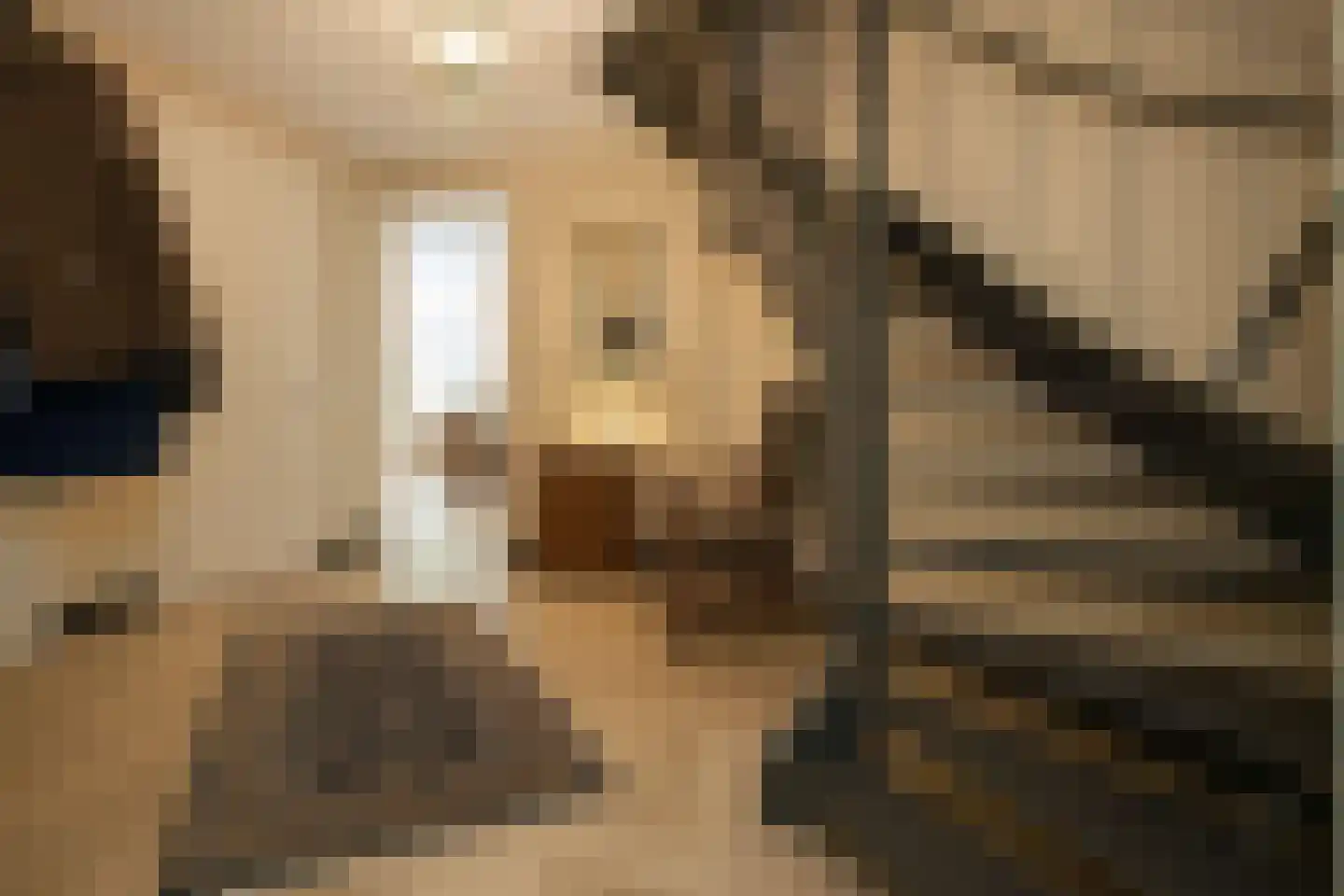 Kapteynlaan 3 Almelo thumbnail 14