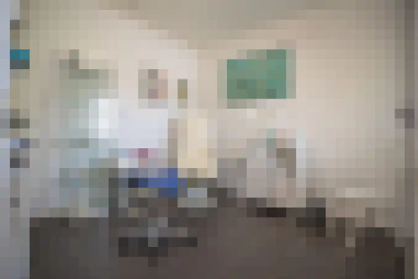 Kapteynlaan 3 Almelo thumbnail 19