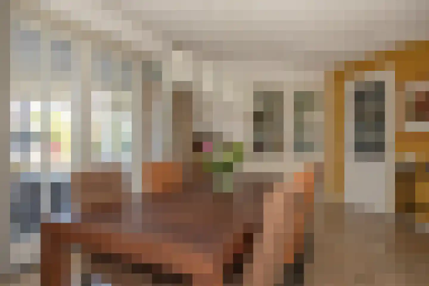 Kapteynlaan 3 Almelo thumbnail 21